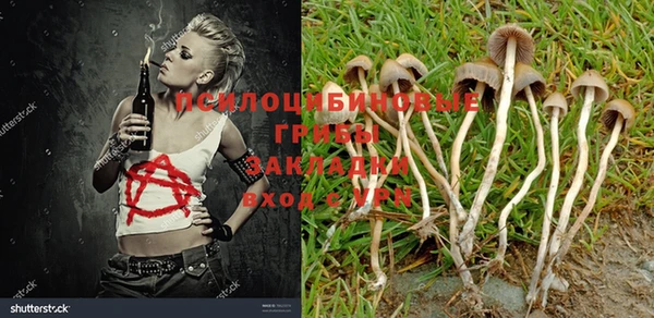 каннабис Сафоново